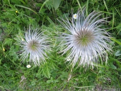 Klicken Sie hier für eine größere Ansicht