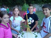 Klicken Sie hier für eine größere Ansicht