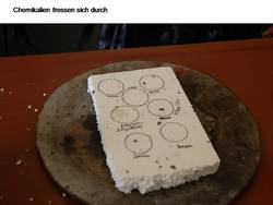 Klicken Sie hier für eine größere Ansicht