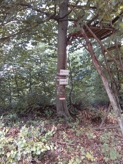 Klicken Sie hier für eine größere Ansicht