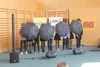 Klicken Sie hier zum Album