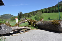Klicken Sie hier für eine größere Ansicht