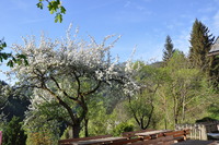 Klicken Sie hier für eine größere Ansicht