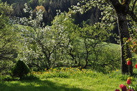 Klicken Sie hier für eine größere Ansicht