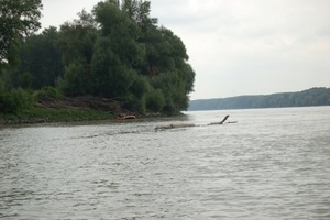 Klicken Sie hier für eine größere Ansicht