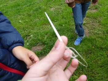 Klicken Sie hier für eine größere Ansicht