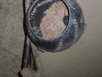 Klicken Sie hier für eine größere Ansicht