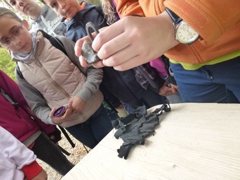 Klicken Sie hier für eine größere Ansicht