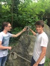 Klicken Sie hier für eine größere Ansicht