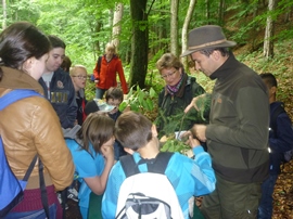 Waldspiele_28.05.2014_1