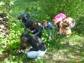 Kraeuterwanderung1_29.04.2015