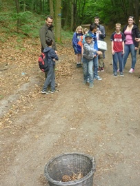 Waldtag1_13.05.2015