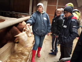 Bauernhof2_21.10.2015