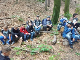 Waldtag1_25.05.2016