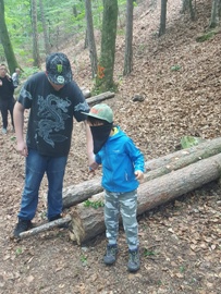 Waldtag4_25.05.2016