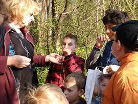 Kraeuterwanderung1_03.04.2017