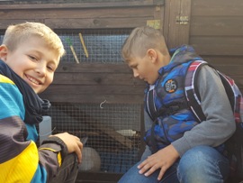 Tierheim3_05.10.2016