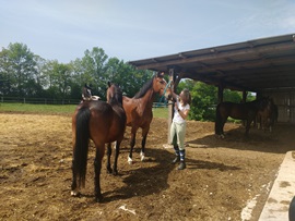 Reiterhof3_03.05.2018