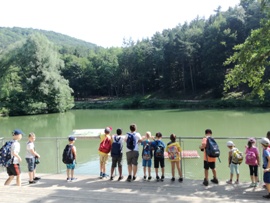 Sparbach2_07.06.2018