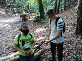 Waldtag2_30.05.2018
