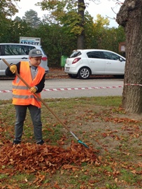 LaubRechen1_18.10.2018